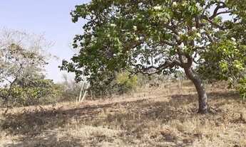 Imagem 7: 1 Alqueire, Energia, Córrego, Tanque de Peixe, Lado da Cachoeira Éden, Aragoiânia