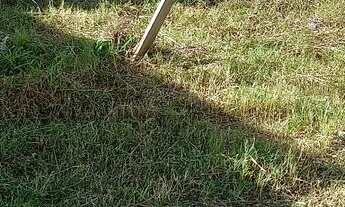 Imagem 3: Vendo terrenos no loteamento vale verde etapa 01 na palhoça SC