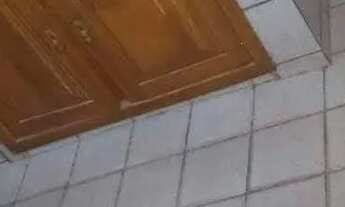 Imagem 6: Aluguel de apartamento