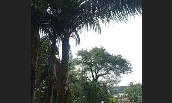 Imagem 6: Casa em Joinville