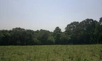 Imagem 3: Chácara no Umbará - Curitiba/PR