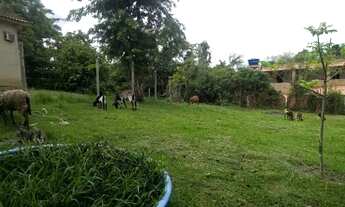 Imagem 4: Chácara, com fogão de lenha e aprisco - São Gonçalo - RJ (Sítio