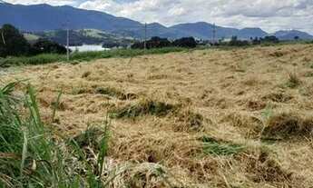 Imagem 4: LOTES NO INTERIOR DE SÃO PAULO - SUPER PROMOÇÃO - NÃO PERCA!