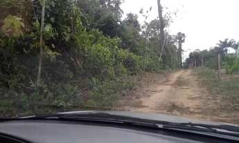 Imagem 3: Terreno no lago do limão