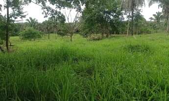 Imagem 6: Chácara 9.4 Alq. Na Marília