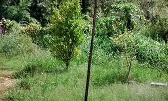 Imagem 6: Chácara com 4 dormitórios à venda, 1800 m² - Jardim do Leste - Itatiba/SP