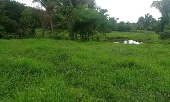 Imagem 4: Chácara 9.4 Alq. Na Marília