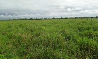 Imagem 5: Chácara 9.4 Alq. Na Marília