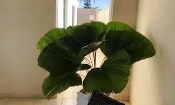 Imagem 5: Casa para venda com 190 metros quadrados com 3 quartos em Cidade Continental - Serra - ES