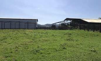 Imagem 4: Campo Largo, 52 alq, 125 ha, Haras, gado ou reflorestamento