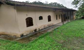 Imagem 3: Fazenda/Sítio/Chácara para venda com 21 Alqueires Ptª - Juquiá - SP