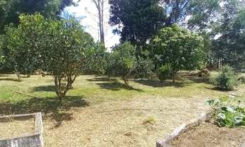 Imagem 7: COD:2607 Lindo Sítio no Bairro Fernandes