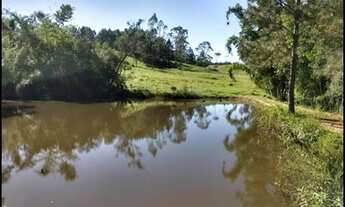 Imagem 4: Área pasto 20.000m2 COCUERA