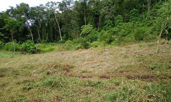 Imagem 4: Terreno à venda em Pomerode bairro Ribeirão Herdt R$ 398.000,00