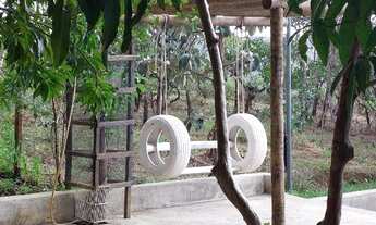 Imagem 5: Vende-se Linda Chácara, Ponte Alta Sul, Região do Gama, 20.000 metros