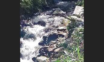 Imagem 2: Chacara com nascente em Cariacica indo pra Santa leopodina