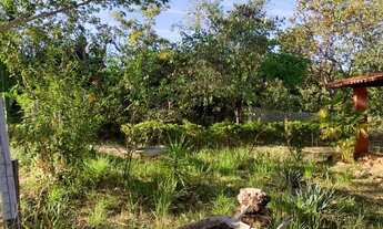 Imagem 6: Sitio 4.700m² com casa, nascente de aguas cristalina, Jaboticatubas