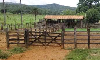 Imagem 7: Fazenda 1.512 há, casa sede e de caseiro, nascentes, com acesso ao rio cipó