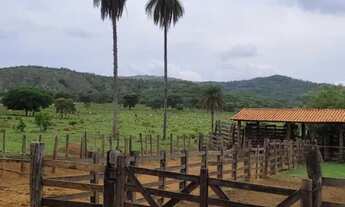 Imagem 2: Fazenda 1.512 há, casa sede e de caseiro, nascentes, com acesso ao rio cipó