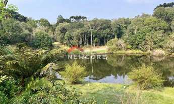 Imagem 4: Lote em Avenida Chimangos - Colinas - São Francisco de Paula/RS