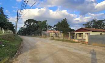Imagem 3: TERRENO à venda com 67146m² por R$ 3.500.000,00 no bairro Colônia Faria - COLOMBO / PR