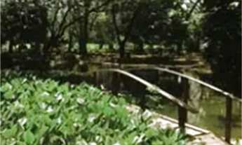 Imagem 5: Terreno com área de 1000 metros boa Localização