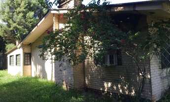 Imagem 4: Ótima morada com figueira e casa ampla