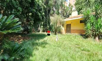 Imagem 3: Chácara com 4 dormitórios à venda, 14000 m² - Santa Cruz do José Jacques - Ribeirão Preto