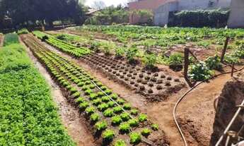 Imagem: Chácara com 1000m2, com escritura, Estância