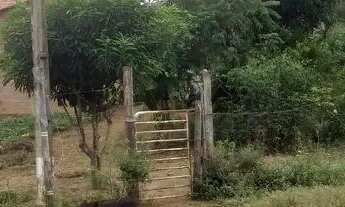 Imagem 3: Lote Rural Palmas 5 km IFTO Pega carro