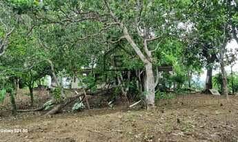 Imagem 4: Chácara à venda em Rosário Oeste: 3 quartos, 2 banheiros, 10 ha. Frente de 60m para o Rio