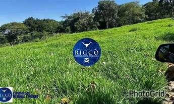 Imagem 3: Fazenda à Venda em Cezarina 20 Alqueires Produtivos, Próxima a Goiânia