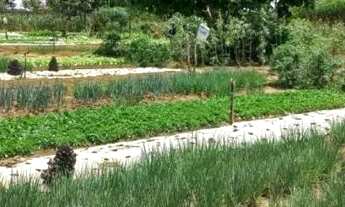 Imagem: Vende-se mini chácara em Caldas novas