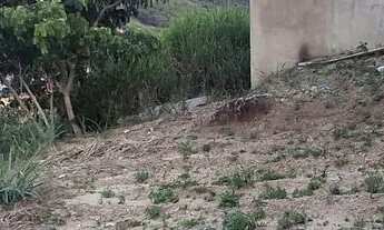 Imagem 7: Terrenos planos prontos para construir