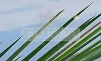 Imagem 4: HORIZONTE URBAN - ORLA 14