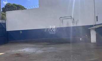 Imagem 3: Aluguel Galpão TIBERY