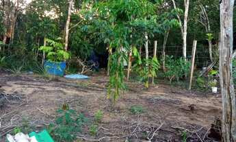 Imagem: Vendo terreno em paricatuba