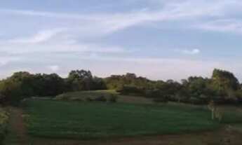 Imagem: VENDO UM LINDO SITIO - Direto com proprietário