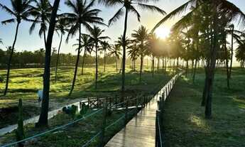 Imagem 4: LOTE NO PADANG BEACH - M.CC - 270M² - SUL [15387