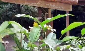 Imagem 6: CASA TÉRREA - GRANJA VIANA - SP