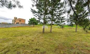 Imagem 6: Imóvel para venda com 3905 metros quadrados em Jardim Creplive - Quatro Barras - PR