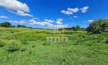 Imagem 4: FAZENDA PEROBAS: POTENCIAL AGROPECUÁRIO E ESTRATÉGICO (52 alqueires fluminenses / 251,68 h
