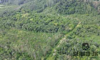 Imagem 5: Área de terra com 33,6ha em Montenegro