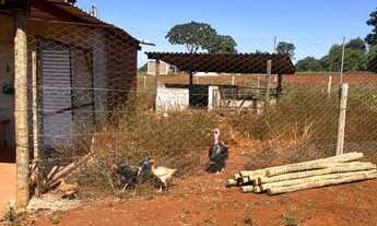 Imagem 5: Chácara 5 mil metros Caturaí - Go