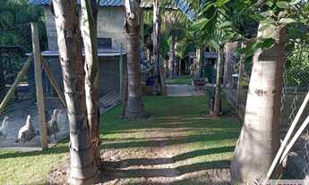 Imagem 4: Imperdível Sítio à Venda em Engenheiro Coelho-SP: 3 quartos, 1 suíte, 1 sala, 2 banheiros