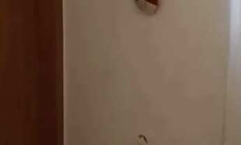 Imagem: Sobrado em Rua Cristóvão Colombo - Vila