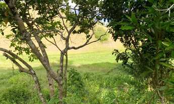 Imagem 2: Sítio de 1,2 tarefa a venda em Maragogipe BA