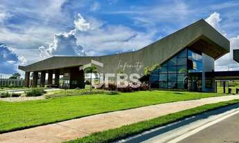 Imagem: LOTE VINHAS FLAMBOYANT