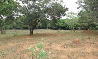 Imagem 2: Linda chácara de 20.000 m² próximo ao Rio,Jaboticatubas(Temos varias opções