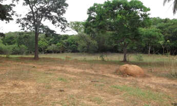 Imagem 3: Linda chácara de 20.000 m² próximo ao Rio,Jaboticatubas(Temos varias opções